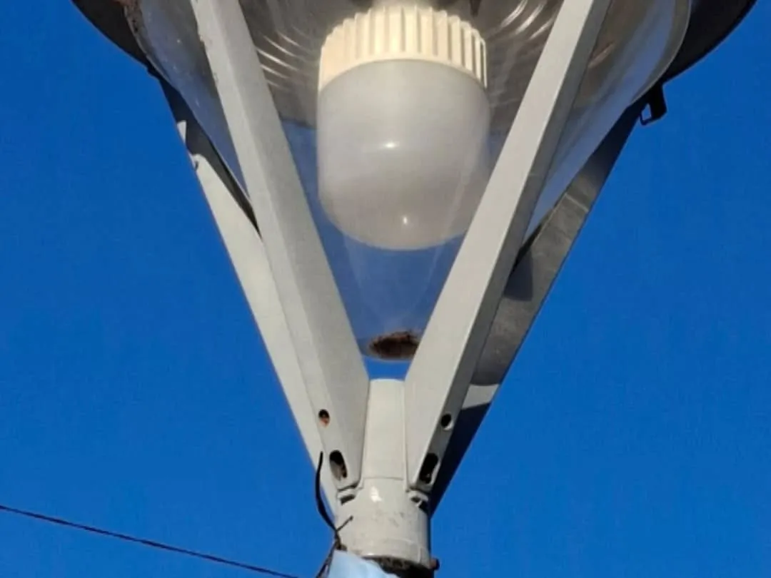 502356964_18081182728866675_2503187955355250975_n