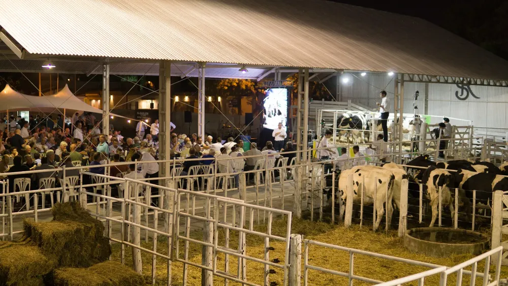 0fb229444b3ee3e736304097fbe13a7f436a1adb