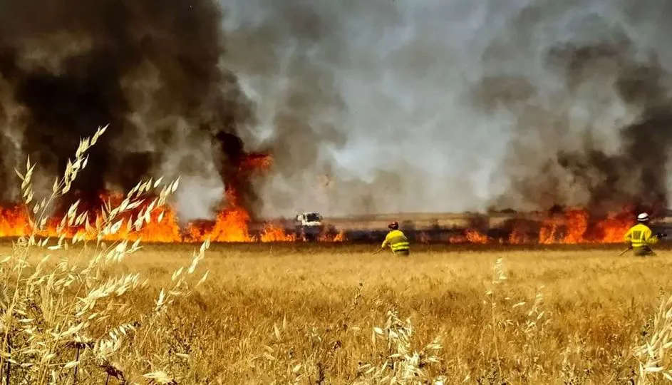 461747557_1076807521122064_3433250234256479795_n