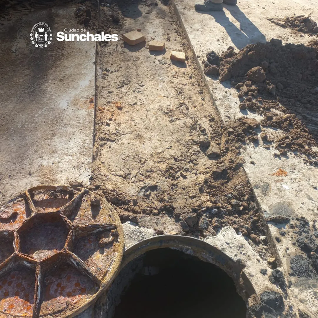 WhatsApp Image 2024-07-12 at 5.04.25 PM (2)