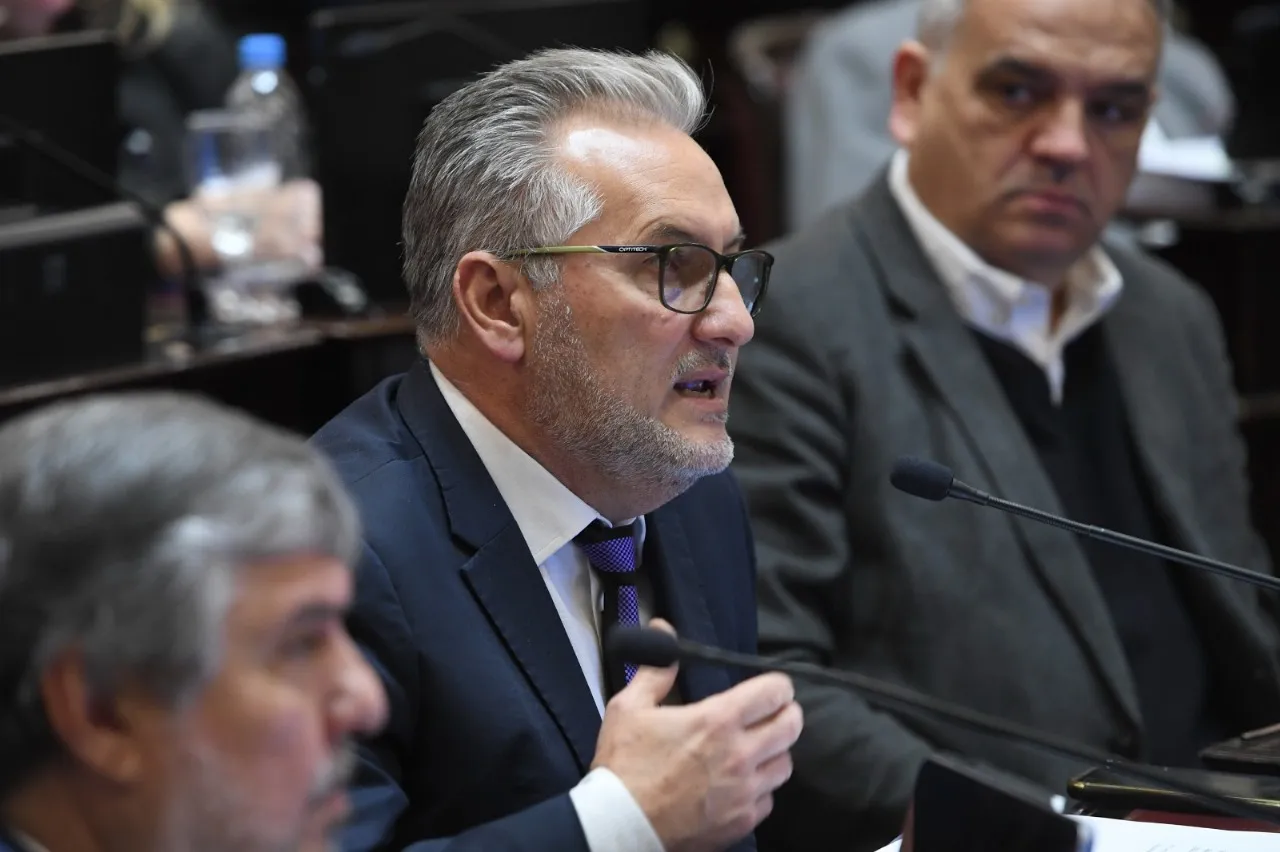 Lewandowski - Ley de Inversiones Productivas Senado