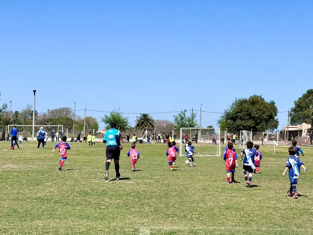 WhatsApp Image 2024-09-17 at 5.31.08 AM