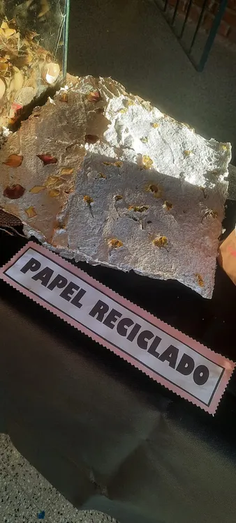 455707569_1527847091495750_7108616793072798642_n