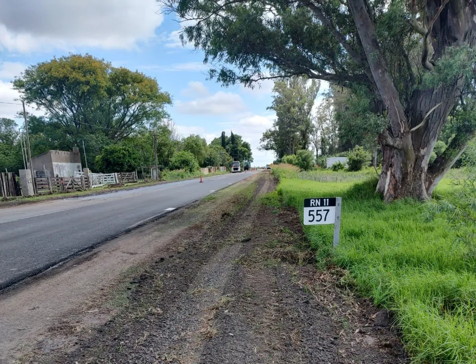 WhatsApp Image 2024-11-28 at 2.17.40 PM (1)