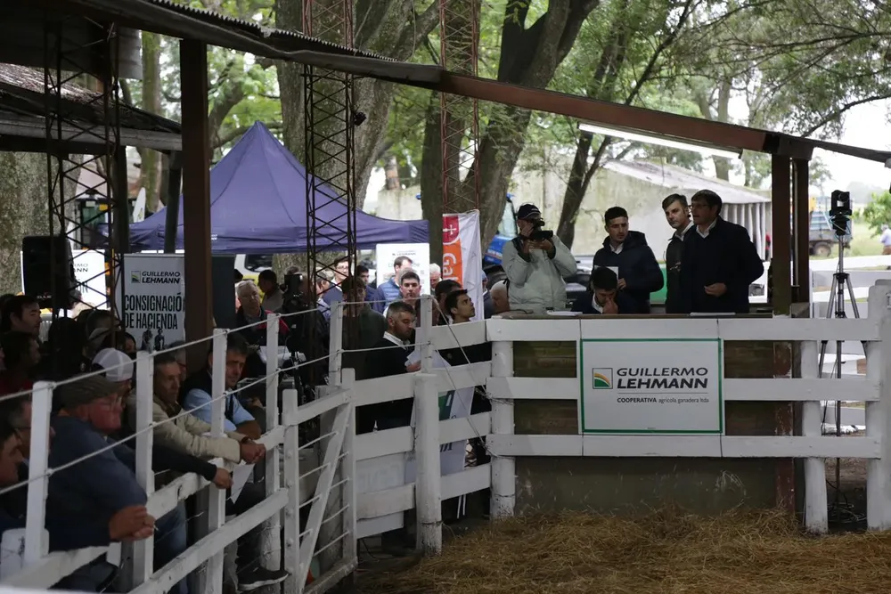 470230101_598743719513276_4599403145851513554_n