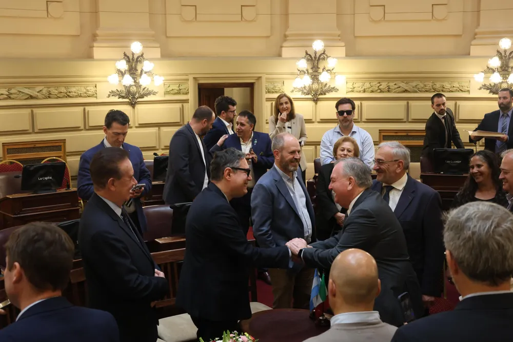 CONSUL ITALIANO LEGISLATURA