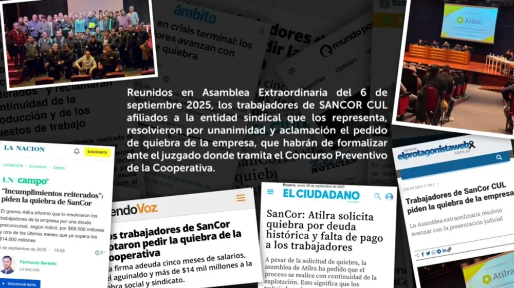 image (8)