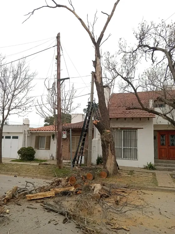 a04768d8-3f3b-497c-a3d9-21ac9e50f91f