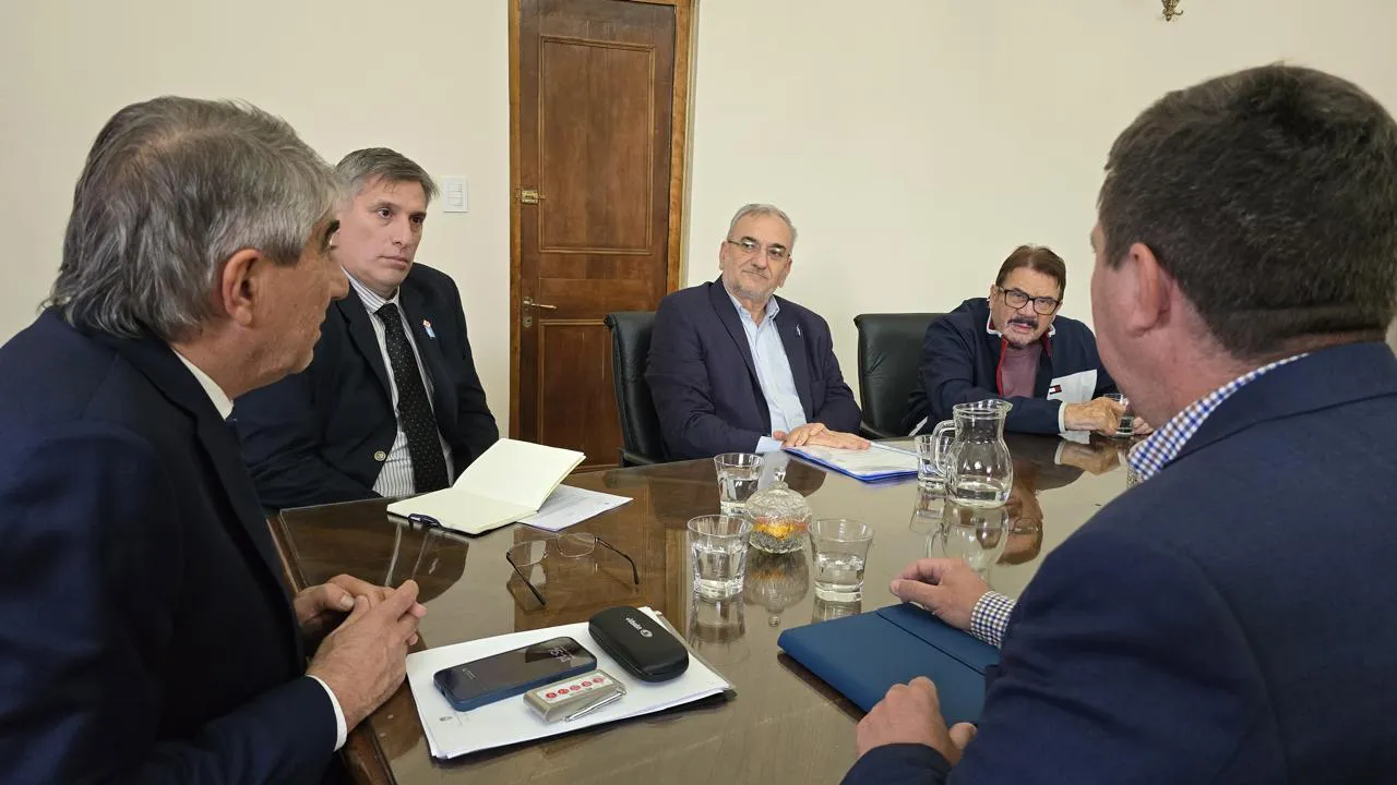 REUNIÓN SENADORES PJ GOBIERNO Y ECONOMÍA