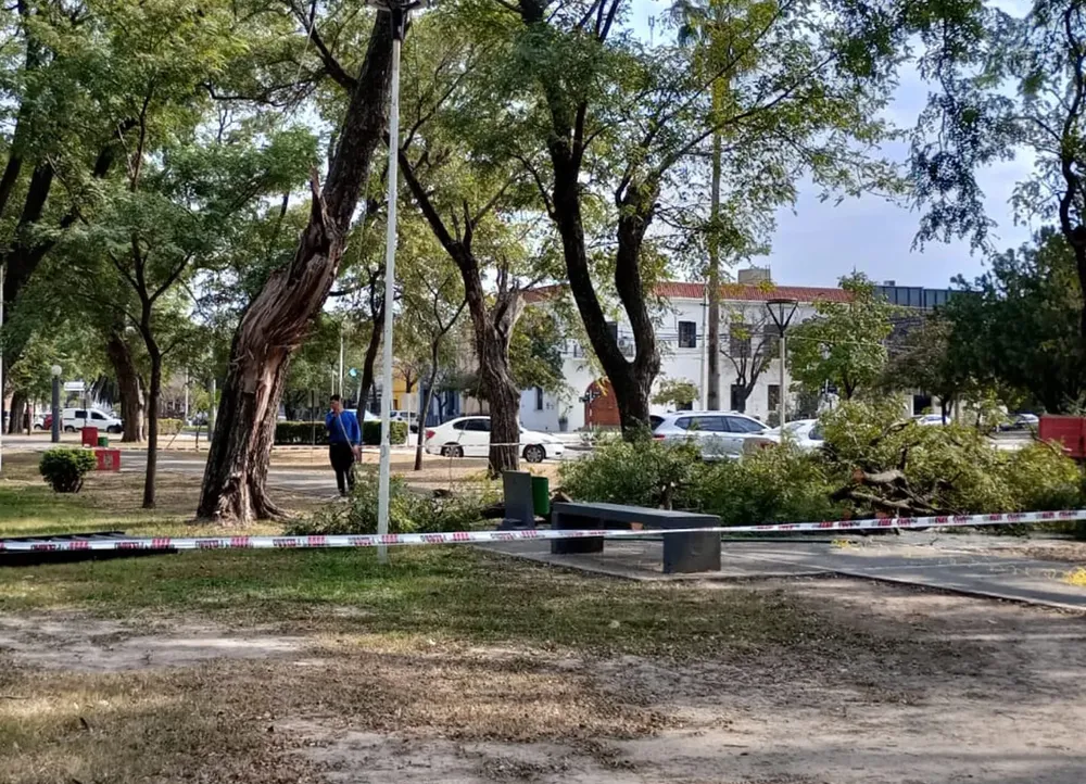 dcb530da-fbd8-4ad4-a273-45b8daa71c5e